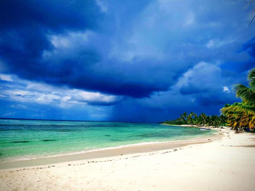 Saona Island: Small Group Virgin Beaches Cruise Day Trip - The Natural Pool and its starfish