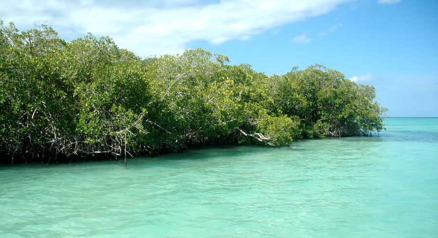 Saona Island: Small Group Virgin Beaches Cruise Day Trip - Timing, comfort, and the practical details