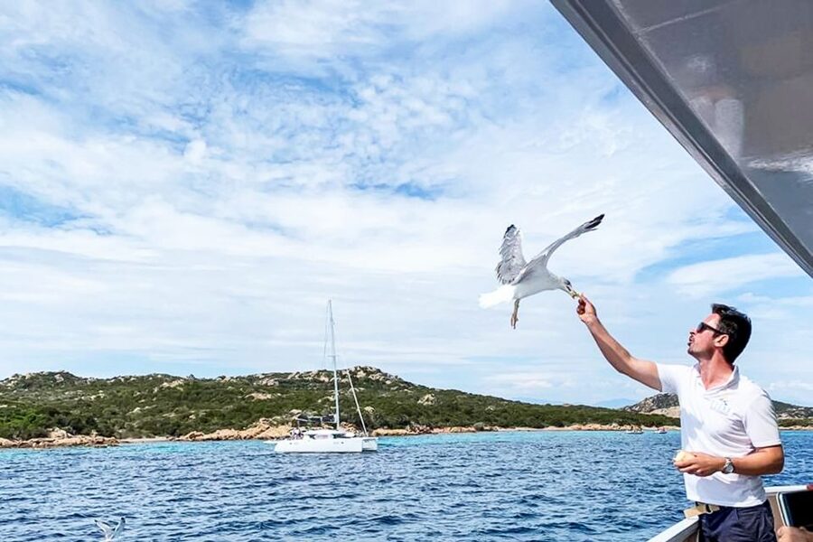 Sardinia: La Maddalena Archipelago Full-Day Trip by Boat - Food, drinks, and what the $59 price really covers