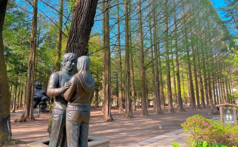 Seoul: Gangwon-do Day Trip with Alpaca World & Nami Island - The Garden of Morning Calm option