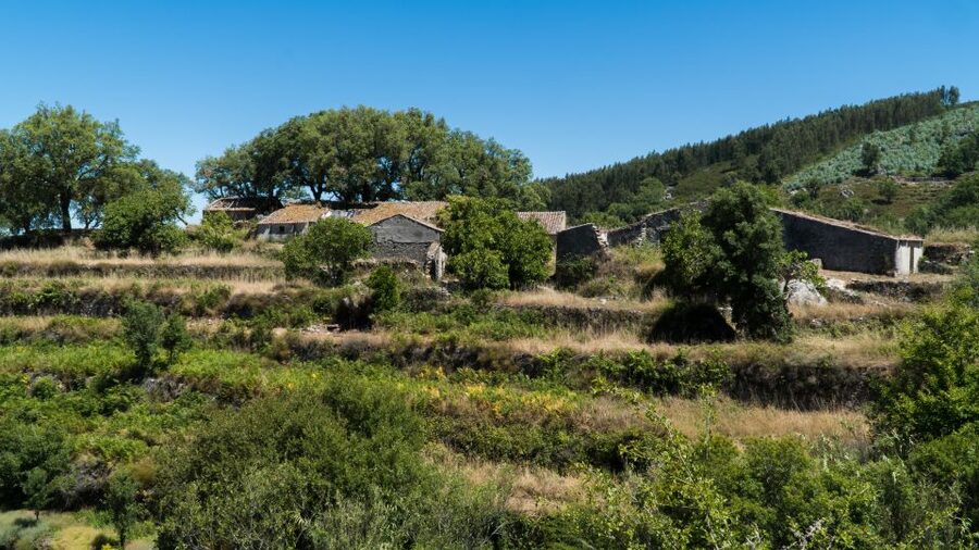Serra de Monchique & Bravura Half Day Off-Road Day Trip - Bravura Lake by rough track and on foot