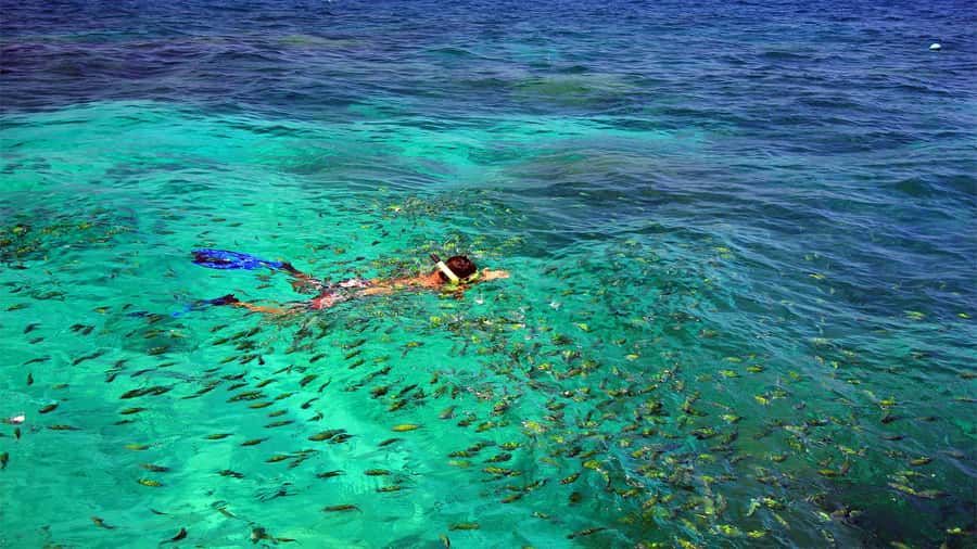 Similan Islands Early-Bird Tour From Phuket and Khao Lak! - Key points at a glance
