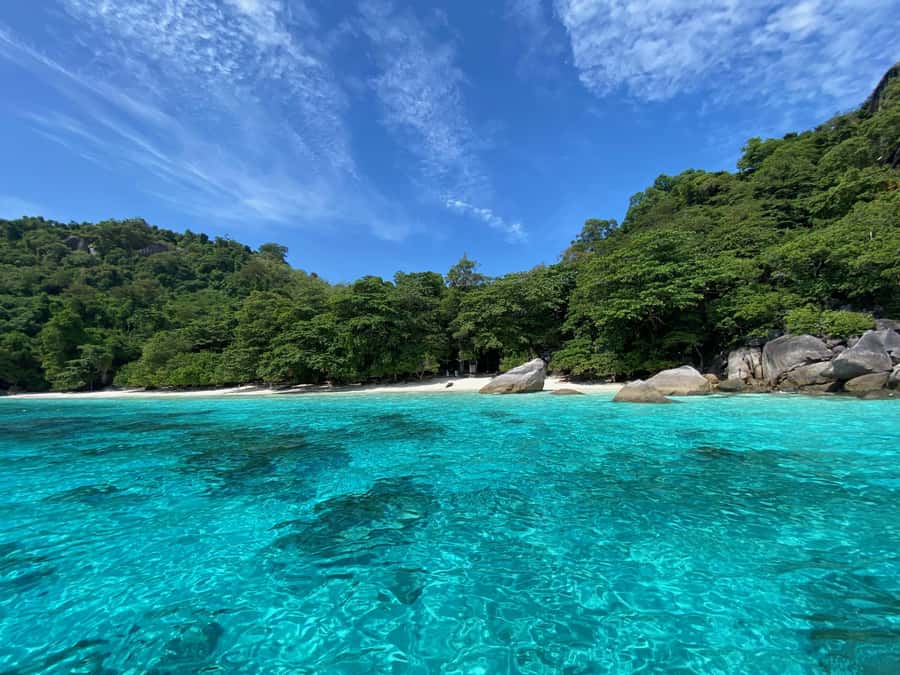 Similan Islands Early-Bird Tour From Phuket and Khao Lak! - The boat, the crowds, and the practical limits