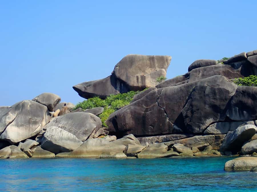 Similan Islands Early-Bird Tour From Phuket and Khao Lak! - Who will get the most from this day