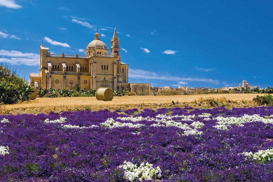 Sliema or St. Paul's Bay: Best of Gozo and Comino Day Trip - Two hours at the Blue Lagoon