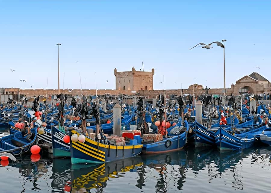 Small-Group Day Trip from Marrakech to Essaouira Mogador - The early pickup and the road west