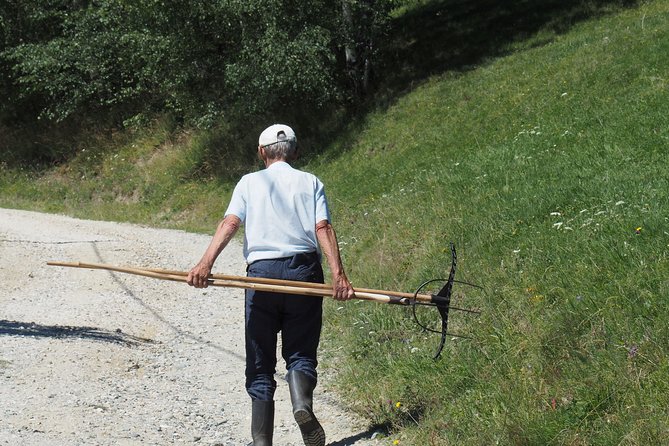 Small-Group Day Trip in Romanian Authentic Mountain Villages from Brasov - Lilicilor Cave and the Bat Cave stop