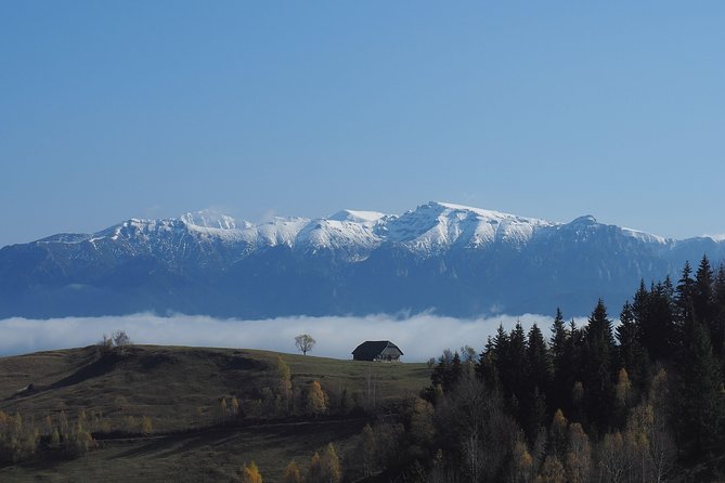 Small-Group Day Trip in Romanian Authentic Mountain Villages from Brasov - Peștera and the final hour on foot
