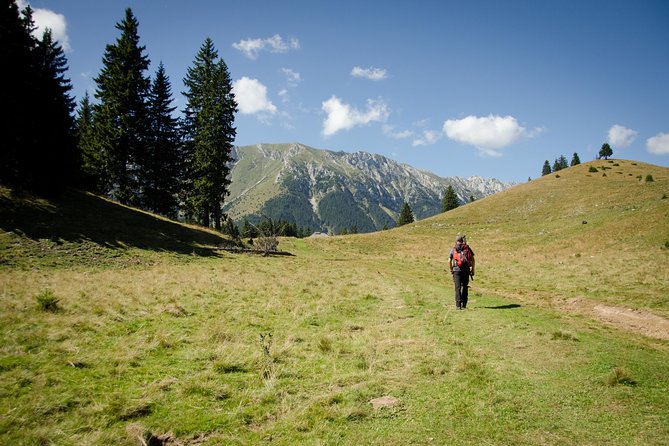 Small-Group Day Trip in Romanian Authentic Mountain Villages from Brasov - Who should book this mountain village day?