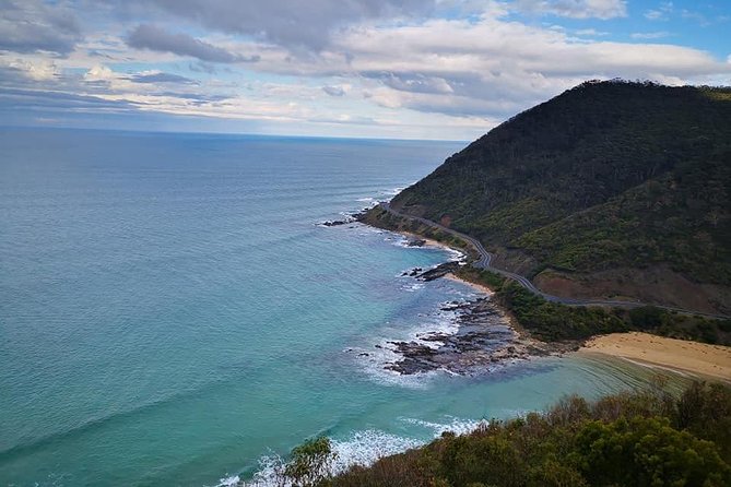 Small-Group Great Ocean Road Day Trip from Melbourne - Great Otway National Park brings rainforest and wildlife
