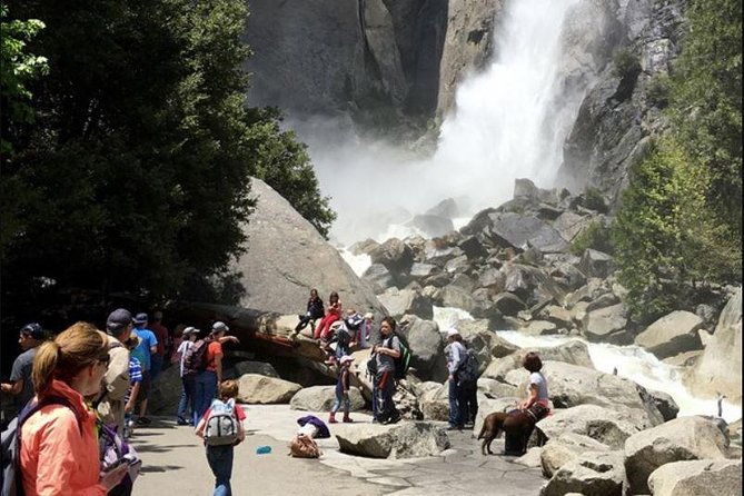 Small Group Yosemite and Giant Sequoias Day Trip from San Francisco - Bridalveil Fall and Yosemite Valley on foot