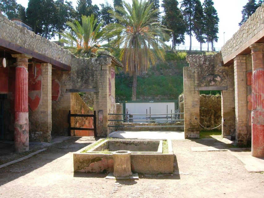 Sorrento: Pompeii & Herculaneum Day Trip Entry and Lunch - Winery lunch near Mount Vesuvius