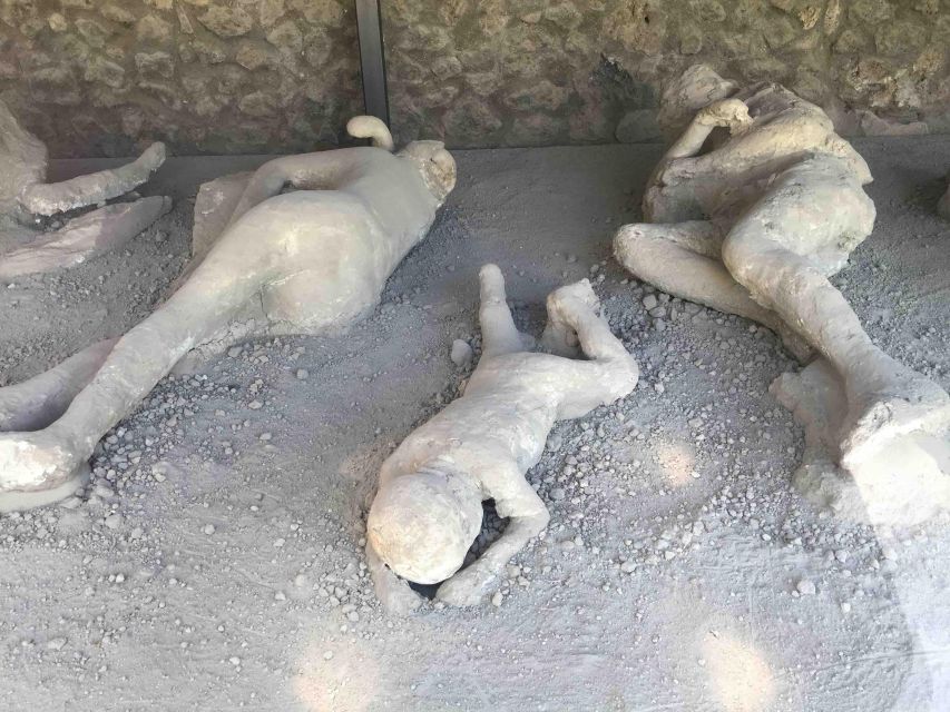 Sorrento: Pompeii & Herculaneum Day Trip Entry and Lunch - What the $175.59 price really includes