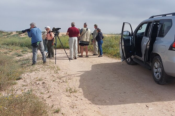 Souss Massa National Park Half Day Trip from Agadir - Key things to know before booking