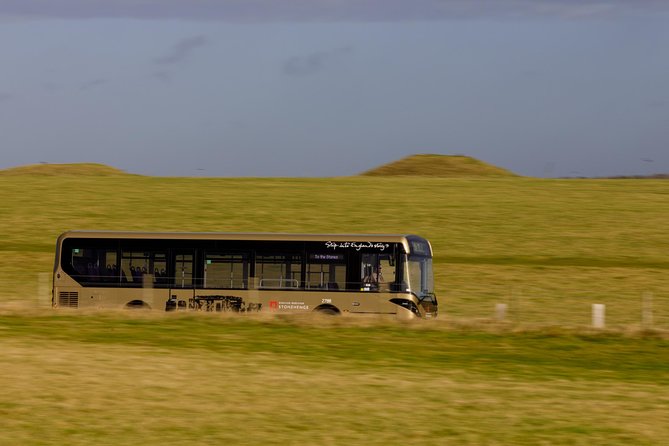 Stonehenge Shuttle Bus from London with Optional Fish & Chips - Making the most of your two and a half hours