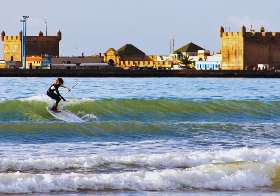 Surf Training and Lunch on Essaouira Day Trip from Marrakech - The 30-minute argan oil cooperative stop