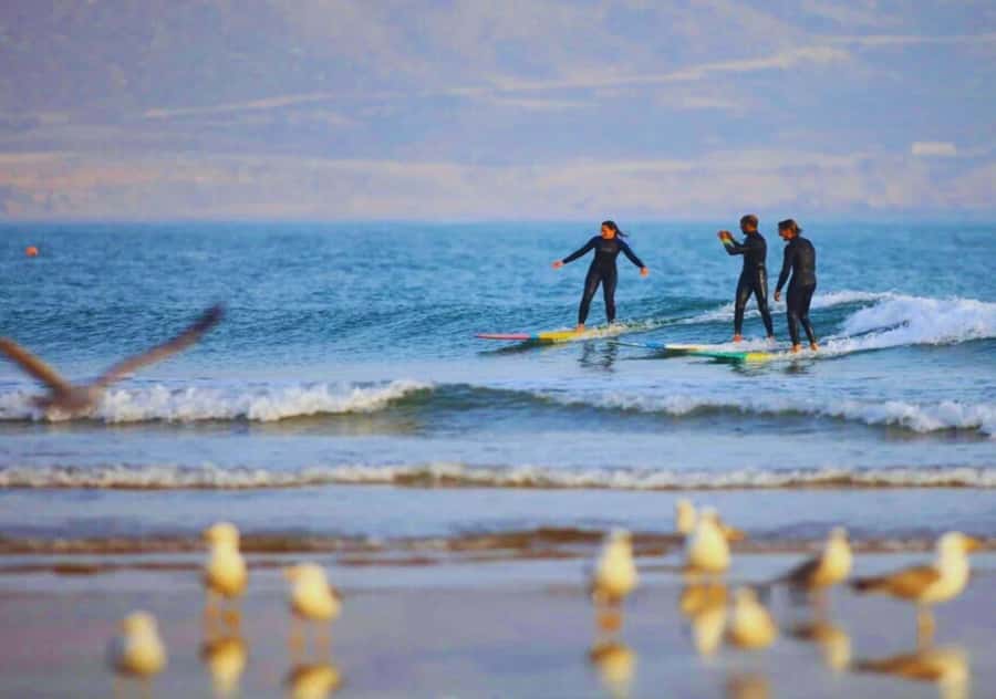 Surf Training and Lunch on Essaouira Day Trip from Marrakech - Surfing at Essaouira beach