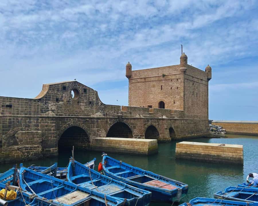 Surf Training and Lunch on Essaouira Day Trip from Marrakech - Who should book this experience