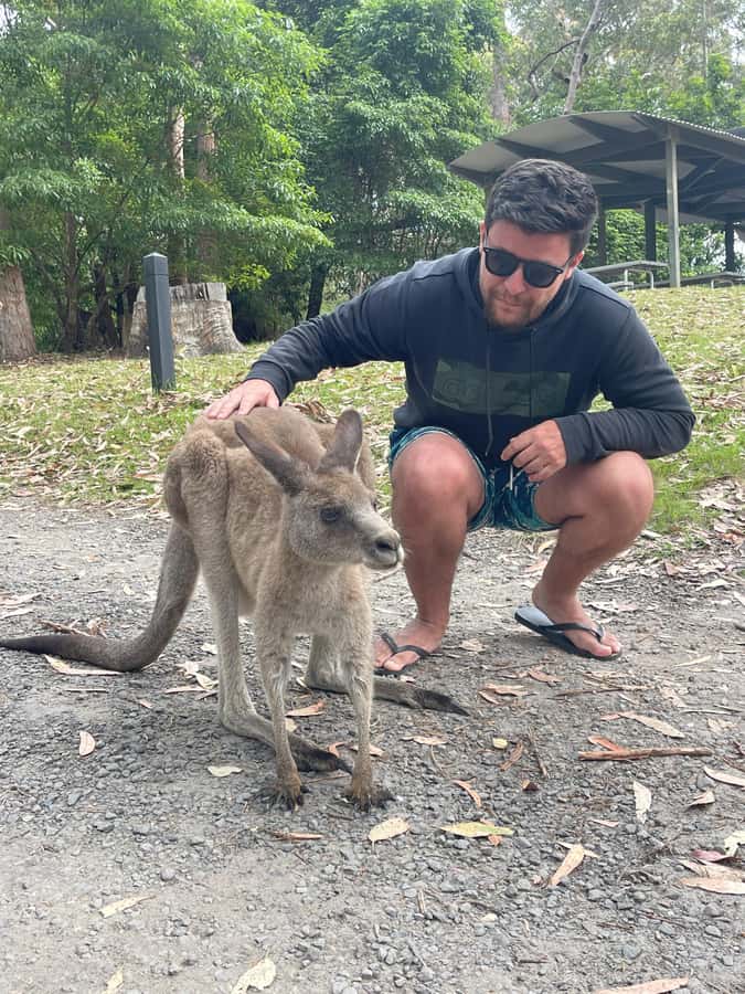 Sydney: Jervis Bay Day Trip with Dolphins, Roos & Beach Time - What the Guides Add to a Fast Schedule