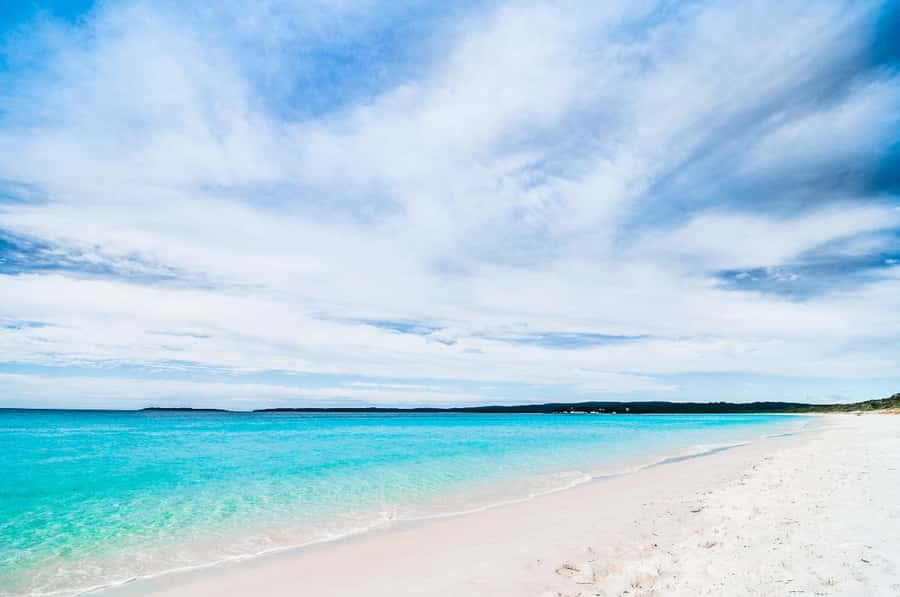 Sydney: Jervis Bay Day Trip with Dolphins, Roos & Beach Time - Who Should Book This Experience?