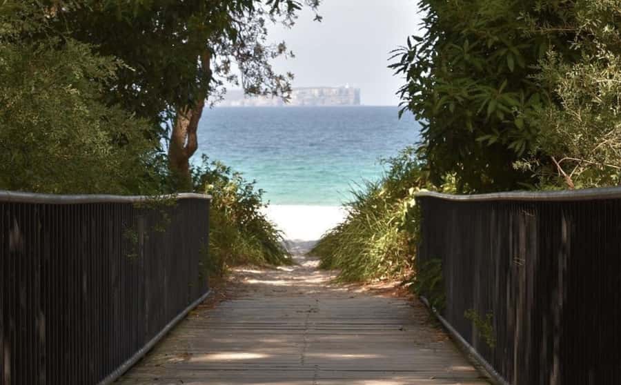 Sydney: Jervis Bay Day Trip with Dolphins, Roos & Beach Time - Should You Book the Jervis Bay Day Trip?
