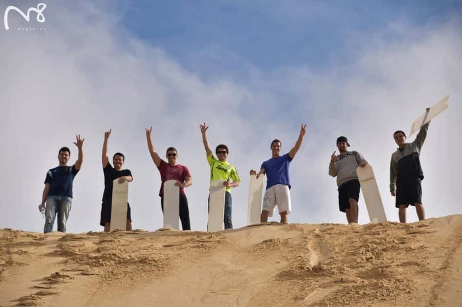 Sydney: Port Stephens Day Trip with Dolphin Cruise or Hike - Who should book this day trip?