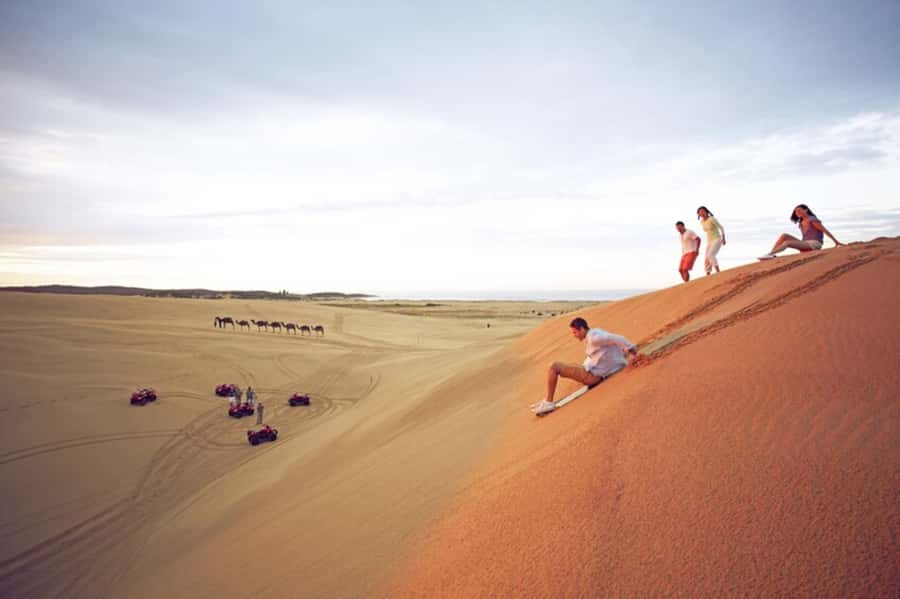Sydney: Port Stephens Dolphin Cruise & Sandboarding Day Trip - Key points at a glance
