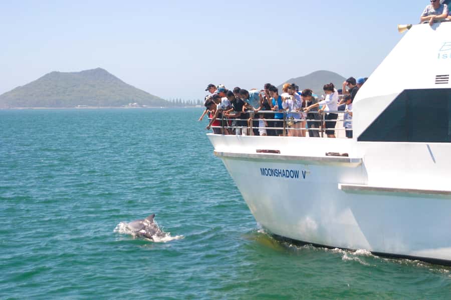 Sydney: Port Stephens Dolphin Cruise & Sandboarding Day Trip - Why Port Stephens makes a good Sydney day trip