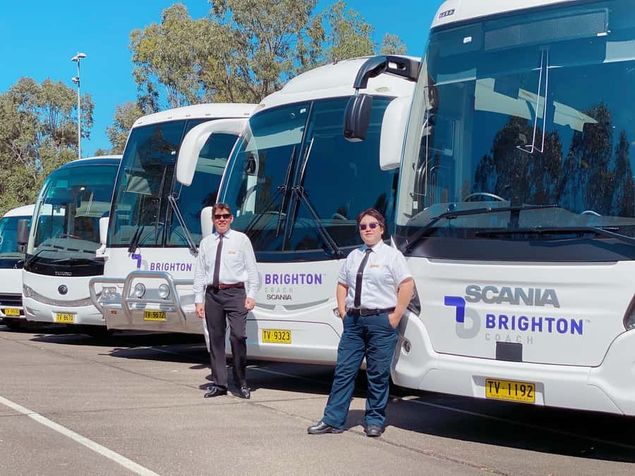 Sydney: Port Stephens Dolphin Cruise & Sandboarding Day Trip - Lunch, then a closer look at koala conservation