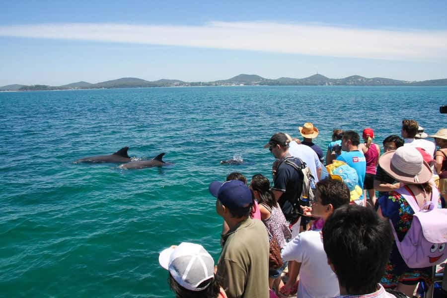 Sydney: Port Stephens Dolphin Cruise & Sandboarding Day Trip - What to pack for a smoother day