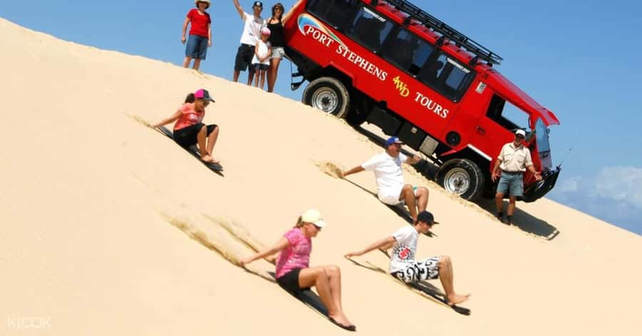 Sydney: Port Stephens Dolphin Cruise & Sandboarding Day Trip - Who should book this Port Stephens tour?