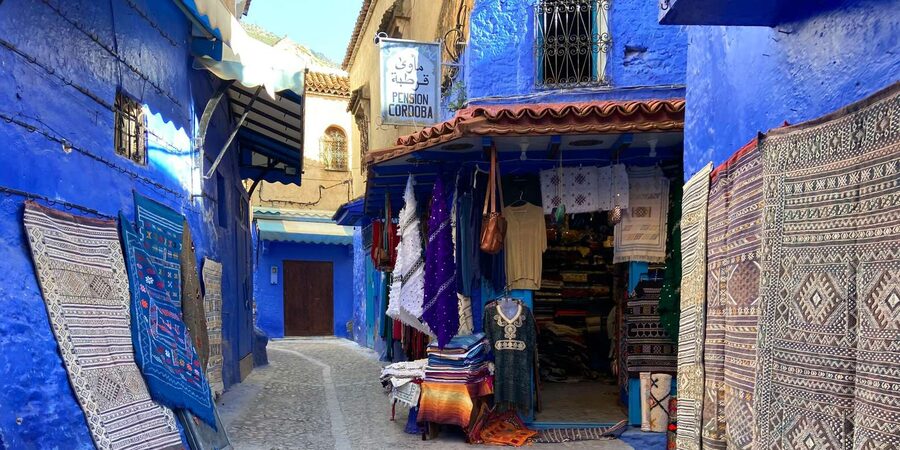 Tangier: Guided Day Trip to Chefchaouen - The Kasbah, gardens, and museum option
