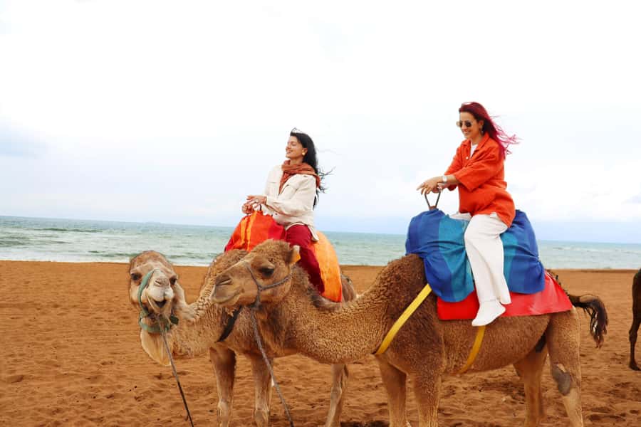 Tarifa: Day trip to Tangier by ferry with lunch and tour guide - Tangier by air-conditioned vehicle
