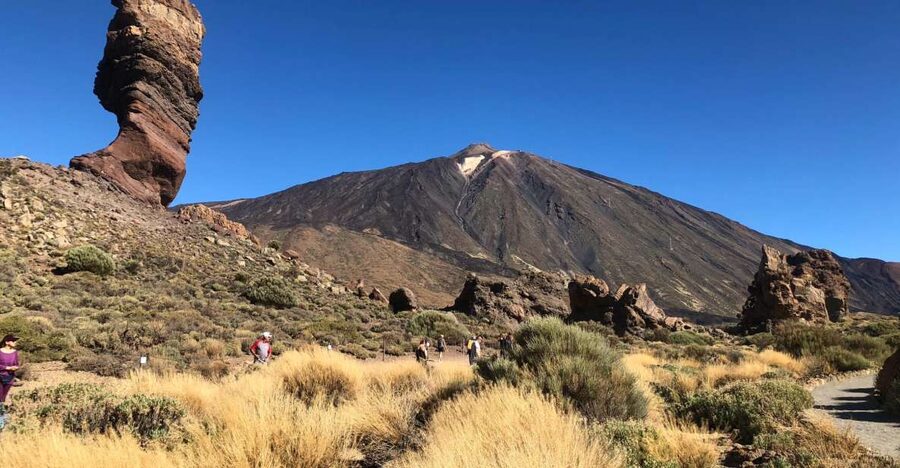 Tenerife: Mount Teide, Masca, Icod and Garachico Day Trip - Icod de los Vinos and the old Dragon Tree