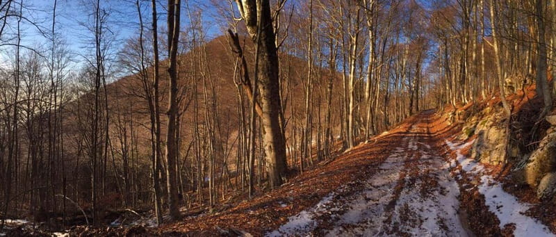 Tirana: Dajti Mountain Half-Day Trip with Cable Car Ticket - Key points to know before you book
