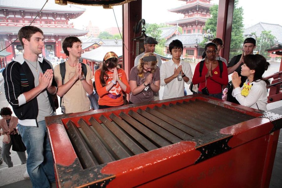 Tokyo: A Half-Day Trip Bus Tour in the Morning - The main drawbacks to consider