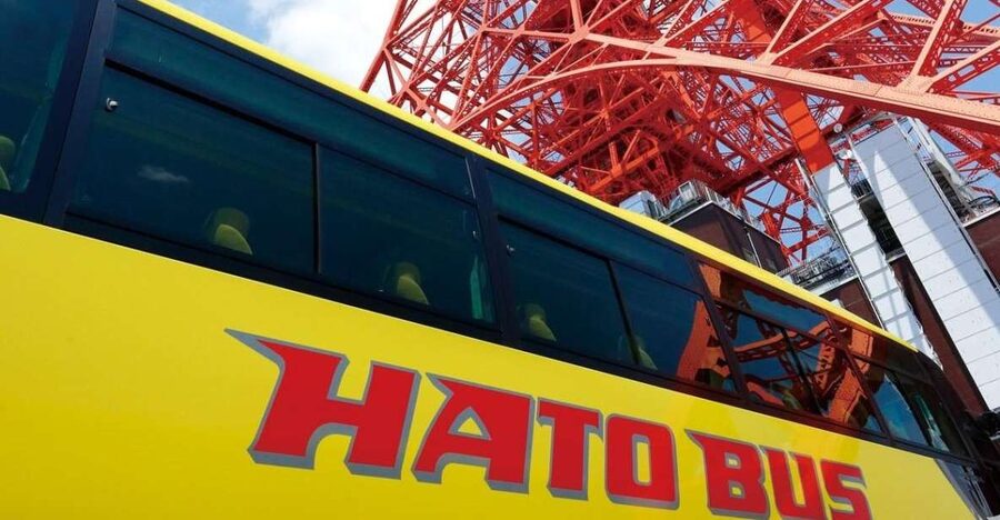 Tokyo: A Half-Day Trip Bus Tour in the Morning - What the $40 price really covers