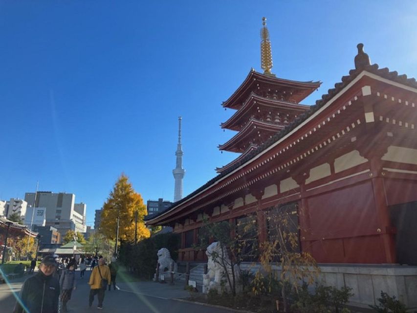 Tokyo: A Half-Day Trip Bus Tour in the Morning - Pace, group size, and practical comfort