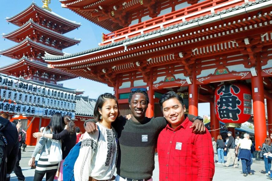Tokyo: A Half-Day Trip Bus Tour in the Morning - Where the guides add the most value