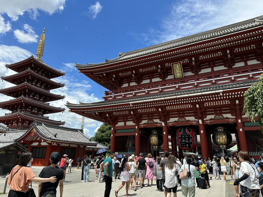 Tokyo: A Half-Day Trip Bus Tour in the Morning - Starting in Shinjuku or near Tokyo Station