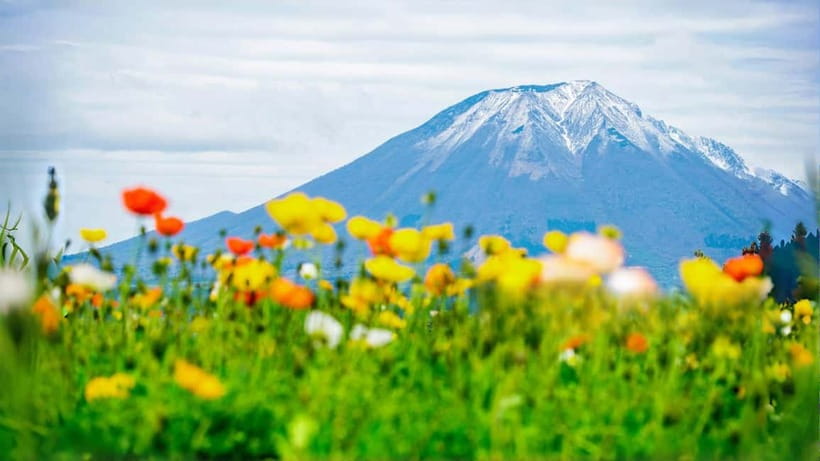 Tokyo: Mount Fuji 5th Station & Onsen Day Trip - Oshino Hakkai’s ponds and village paths