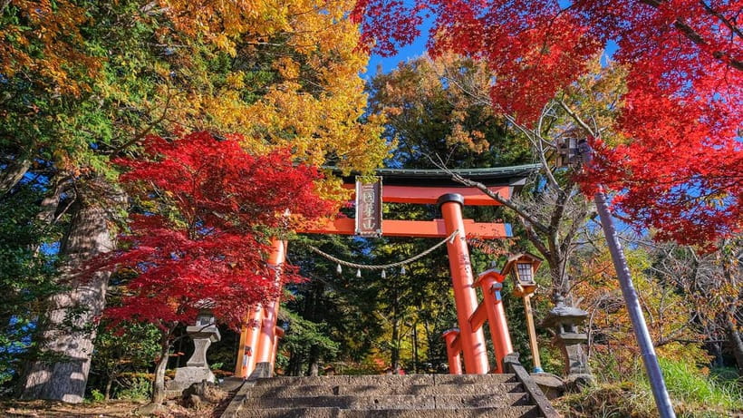 Tokyo: Mount Fuji 5th Station & Onsen Day Trip - Two hours at Konohananoyu Onsen