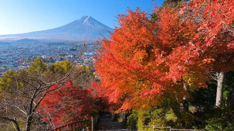 Tokyo: Mount Fuji 5th Station & Onsen Day Trip - Is $50 a good value?