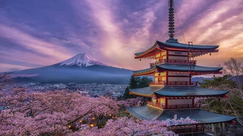 Tokyo: Mount Fuji and Hakone Private Sightseeing Day Tour - A full day from Tokyo to Mount Fuji