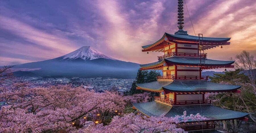 Tokyo: Mount Fuji and Hakone Private Sightseeing Day Tour - Subaru 5th Station at 2,300 meters