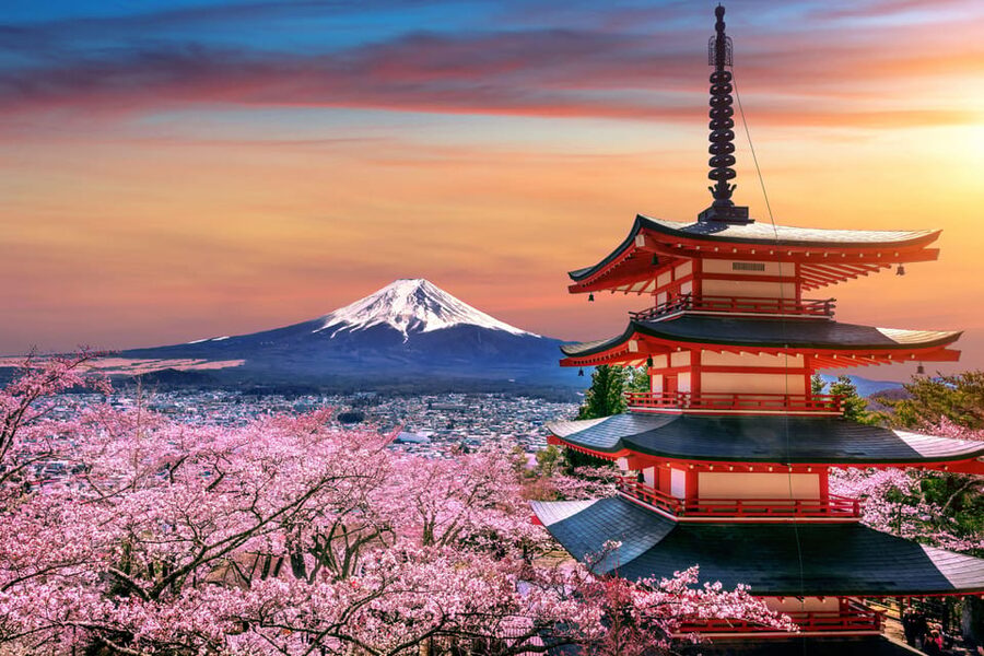 Tokyo: Mount Fuji and Hakone Private Sightseeing Day Trip - Key points to know before booking