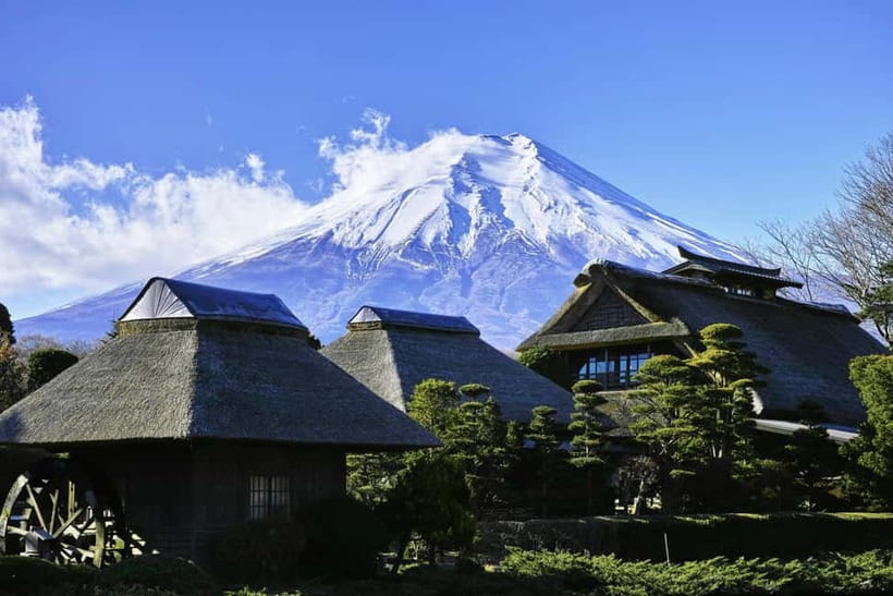 Tokyo: Mount Fuji and Hakone Private Sightseeing Day Trip - What is included, and what will cost extra