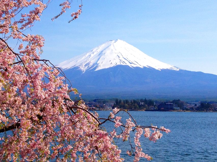 Tokyo: Mount Fuji and Hakone Private Sightseeing Day Trip - Should you book this private Tokyo day trip?