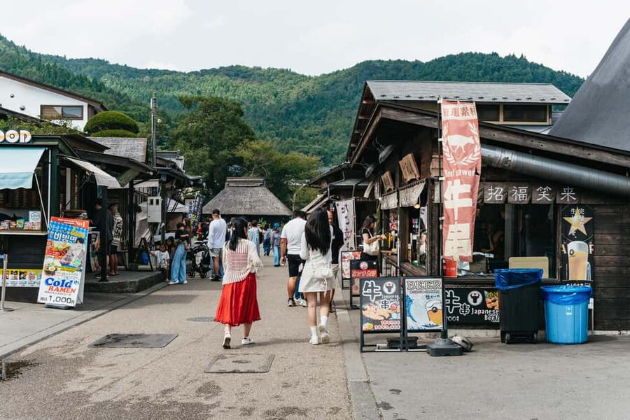 Tokyo: Mt. Fuji, Kamakura, Big Buddha, & Lake Ashi Day Trip - Oshino Hakkai and its clear spring ponds