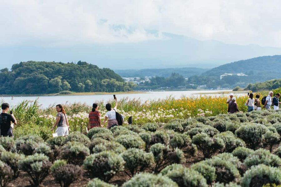 Tokyo: Mt. Fuji, Kamakura, Big Buddha, & Lake Ashi Day Trip - Oishi Park, Lake Kawaguchi, and the Fuji photo stops